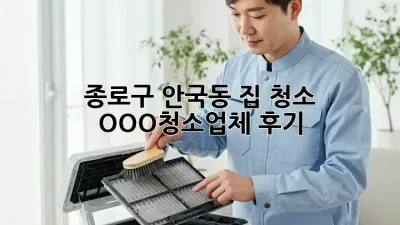 종로구 안국동 집 청소? OOO청소업체 후기! ✨