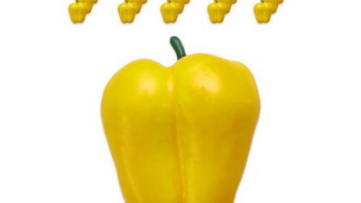 컨셉소품 득템 후기! ✨ 할인코드까지 놓치지 마세요!
