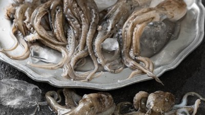 놓치면 후회! 항공직송 생주꾸미 초특가 후기🐙